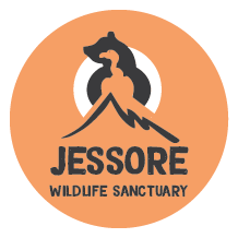 Jessore Campsite